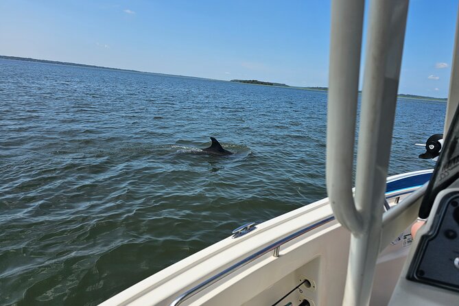 1 Hour Private Dolphin and Nature Tour - The Sum Up
