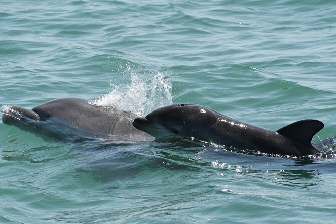 #1 Top Rated - Calm Water Inshore Fishing Charter In Your Area - Who Should Book This Tour?