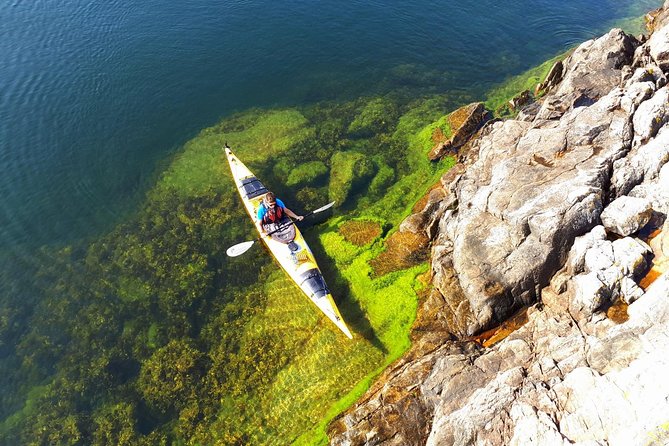 2-Day Kayaking Tour in the Archipelago of Stockholm - Who Should Book This Tour?