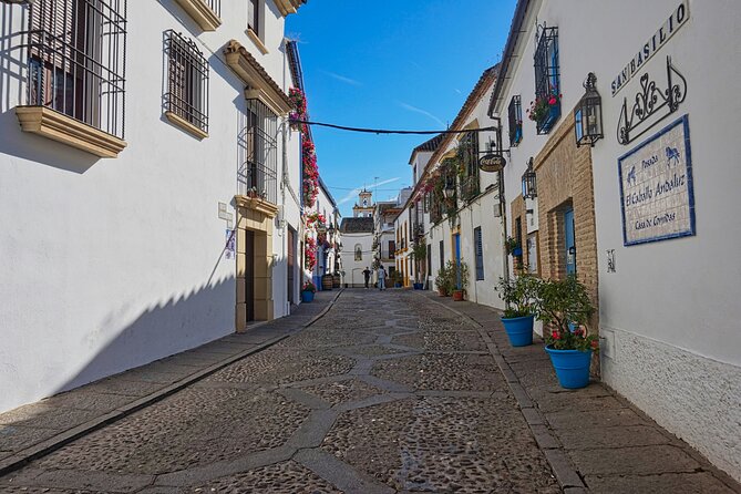 2 Days Cordoba with Mosque Ticket and Hotel Tour - Logistics & Practicalities