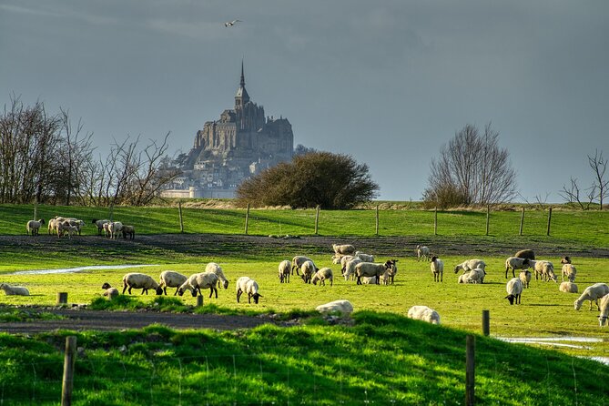 2 Hours Private Walking Tour of Mont Saint Michel - Why This Tour Might Be Perfect for You