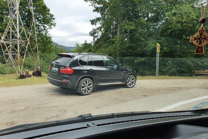 3 Days Private Tour Romania with Transfagarasan Road from Bucharest - Practical Insights and Value