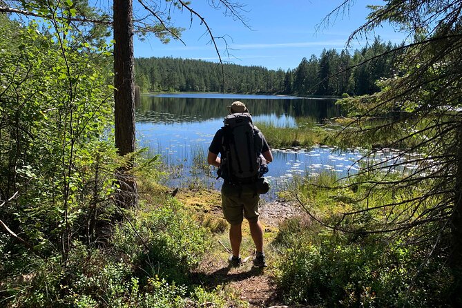 4-Day Hiking Adventure in Skuleskogen National Park (Höga Kusten) - What the Reviews Say  