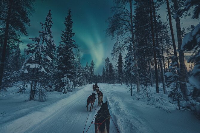 4hr Dog Sledding Tour under the Northern Lights - Transportation, Group Size, and Pricing