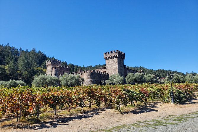 6 Hour Variety Wine Vineyard Tour in Napa Valley - Final Thoughts