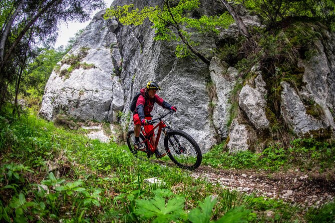 8-Day Private Mountain Bike Tour from Arnoldstein to Piran - Who Is This Tour Best For?
