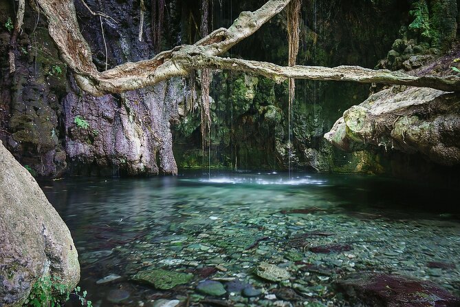 Akamas, Baths of Aphrodite and Blue Lagoon Day Tour from Paphos - FAQs  