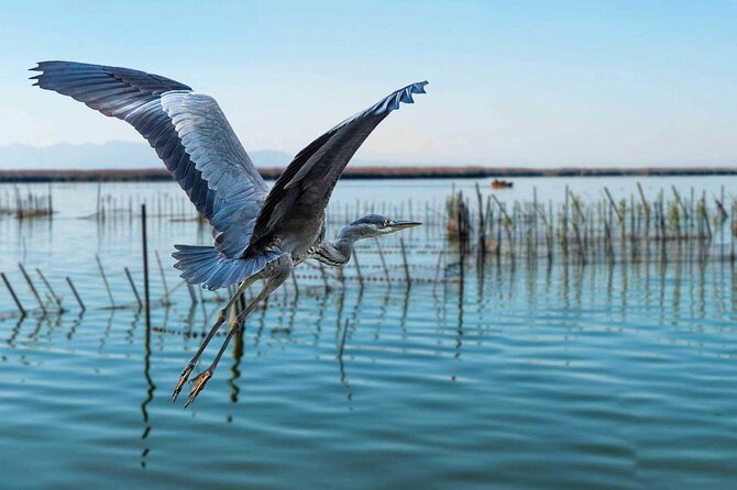 Albufera Natural Park with a Boat Tour from Valencia - Practical Tips for Making the Most of Your Tour