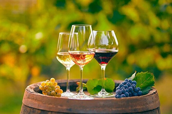 Alicante Old Winery Tour and Wine Tasting Including Transfer - FAQ