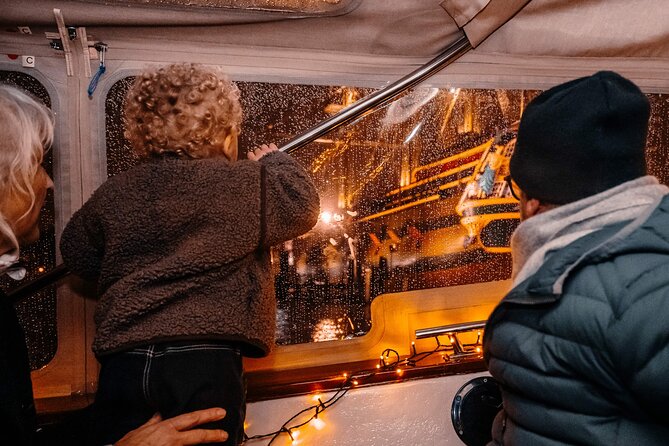 Amsterdam: Light Festival Shared Boat with unlimited drinks - Who Should Book This Tour?