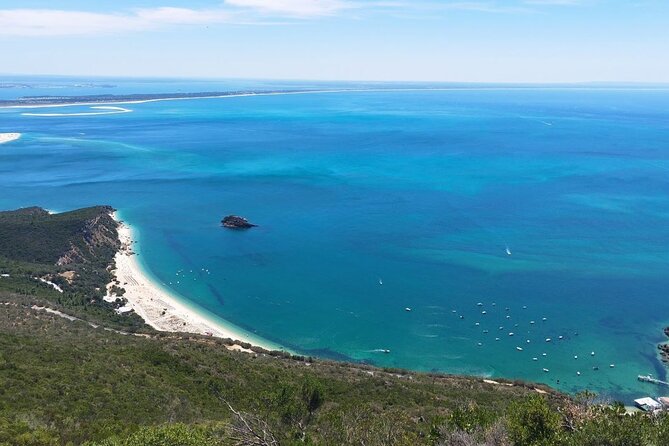 Arrábida & Setúbal Wine Tour: Food & All-Inclusive from Lisbon - Who Is This Tour Best Suited For?