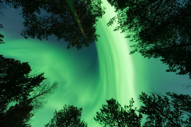 Aurora Hunt with Professional Photographer from Alta - Travel Details and Group Experience