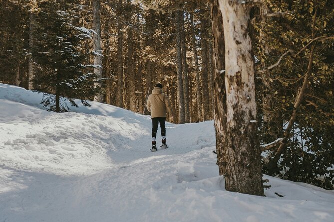 Aurora Hunting with Snowshoes - What Sets This Tour Apart?