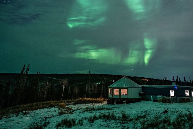 Aurora Viewing and Dinner - What to Expect During Your Evening