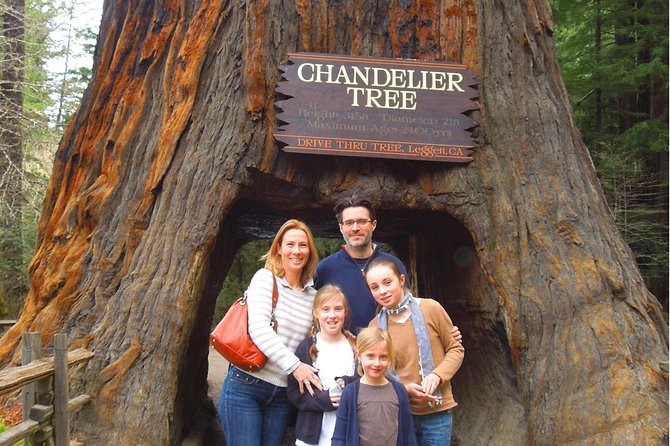 Avenue of the Giant Redwood Private 1 day Tour from San Francisco - Final Thoughts