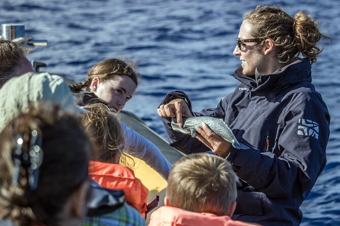 Azores Whale Watching & Islet Boat Tour - Who Is This Tour Best For?