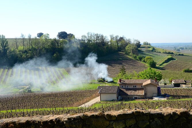 Backcountry E-Bike Adventure from Bordeaux: Wine Tasting & Lunch - Scenic Villages and Vineyards: Quiet Charm and Authentic Flavors