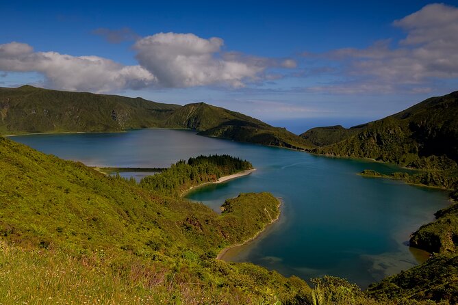 Bee Inspired: A Journey in São Miguel and a Visit to an Apiary - Why This Tour Is a Great Choice