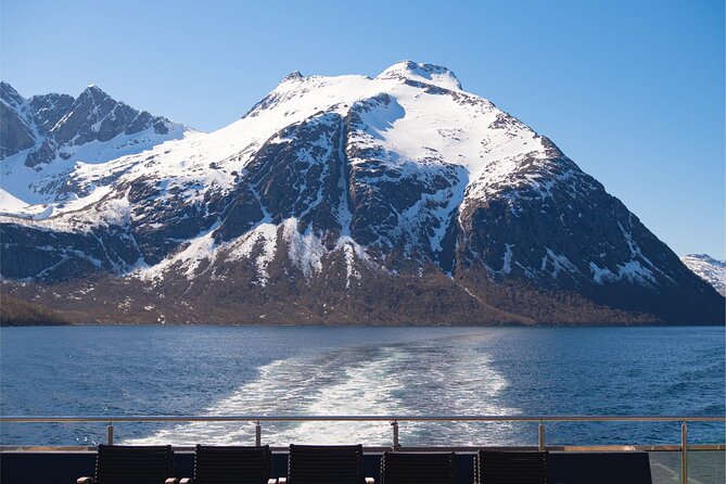Beiarfjord & Saltstraumen Cruise with Guide - Final Thoughts