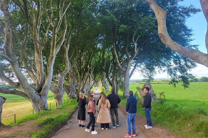 Belfast & Giants Causeway Luxury Mercedes Private Tour for 6 pax - The Sum Up  