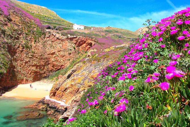 Berlengas Island Catamaran Tour + Snorkeling - Frequently Asked Questions