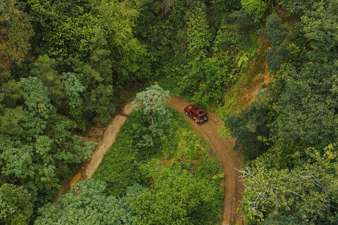 Bespoke adventure in Madeira with pick-up - Value for Money: Is It Worth It?