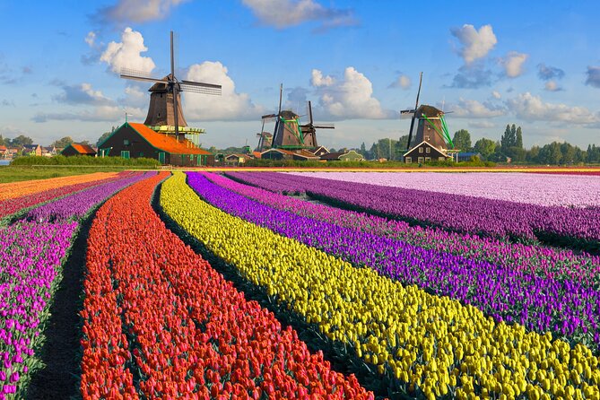 Best of Netherlands: Zaanse Schans Mills, The Hague & Rotterdam - Final Thoughts