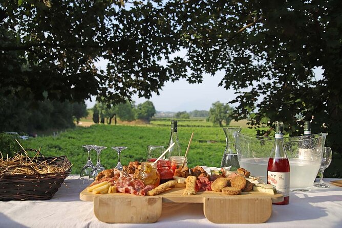 Biodynamic Farm and Natural Wines Tasting in Lazise - Who Will Love This Tour