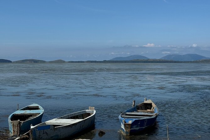 Birdwatching Experience in Narte Lagoon & Akerni Dunes - Practical Tips for Your Trip