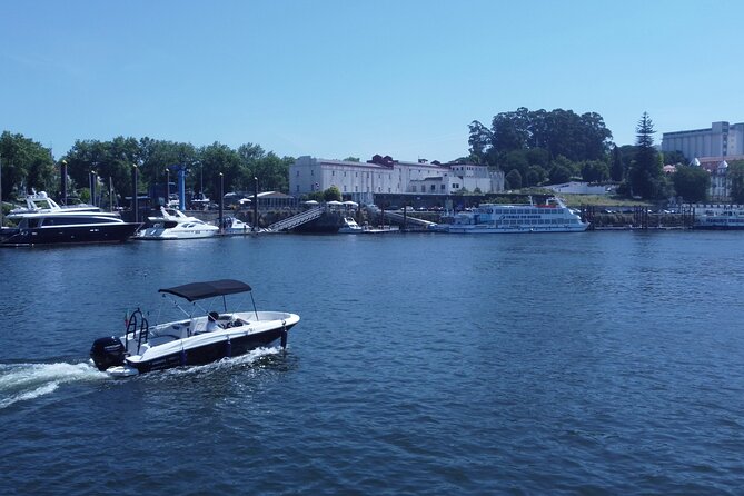 Boat Trip in Douro Porto - Authentic Experiences and Reviewer Insights