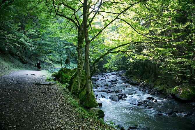 Borjomi, Rabati, and Vardzia Guided Day Trip - The Sum Up