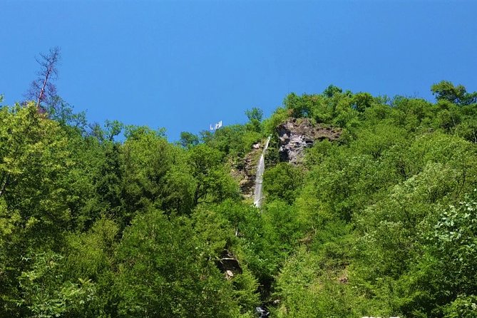 Borjomi Tour from Tbilisi with Bakuriani Resort and Soviet Train Ride - Authentic Insights from Reviewers  