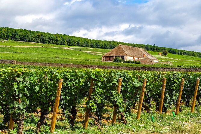 Burgundy wine tour - Private tour with professional tour guide ! - Who is This Tour For?