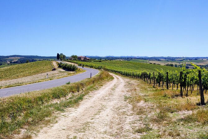 By Ebike: Visit an Art Park and Wine Taste in the Classic Chianti - Riding Through the Vallepicciola and Castles