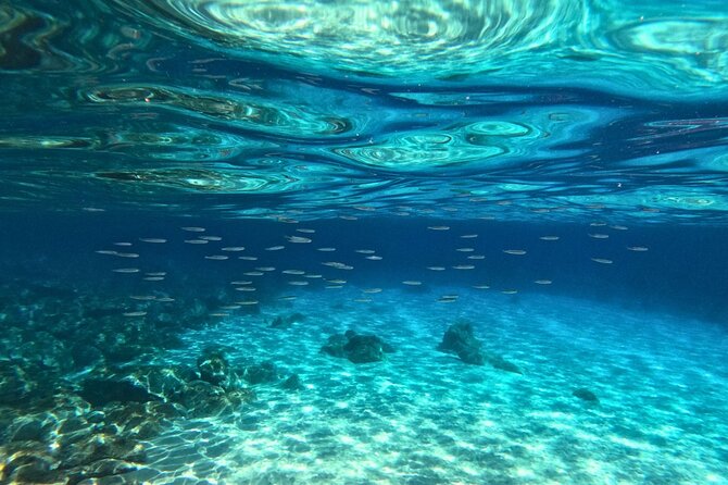 Cala Gonone Snorkeling in the Orosei Gulf - Who Will Get the Most Out of This Experience?