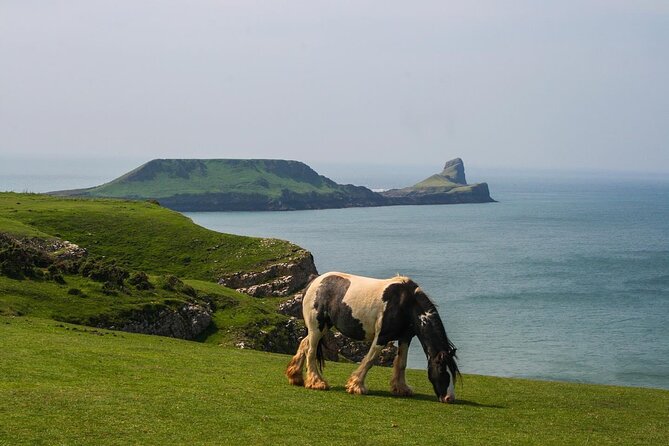 Cardiff: Gower Peninsula's Cliffs & Bays Scenic Day Tour - Practical Details & Considerations
