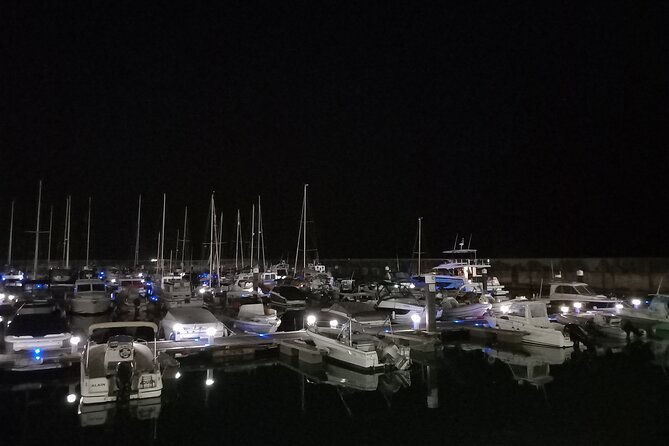 Cascais & Estoril by night | OR | Sintra By Night - Detailed Breakdown of the Itinerary