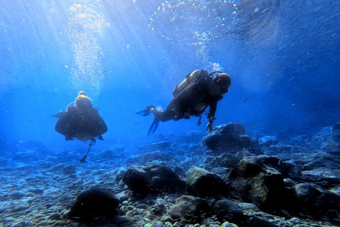 Chania Scuba Diving | Fun Dives | Certified Divers - Why This Tour Stands Out