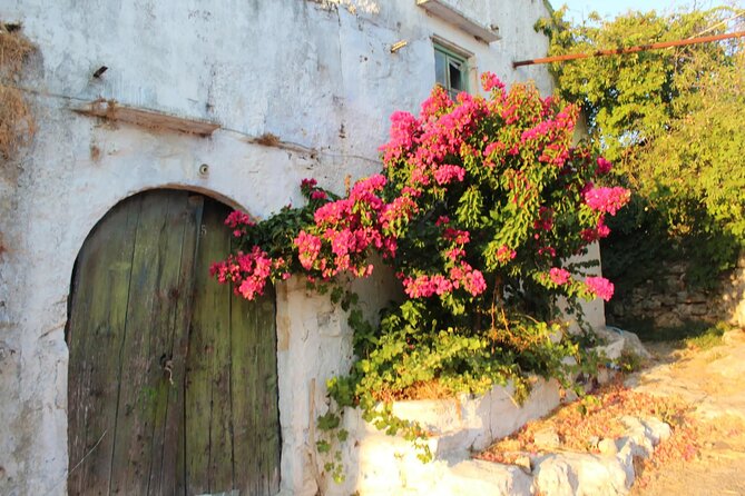 Chania Villages and Aptera Site Private Guided Tour - Who Will Love This Tour?