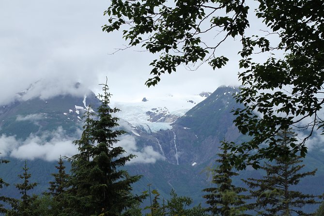 Chilkat Inlet Coastal Hike in Haines - How This Tour Offers Value for Money