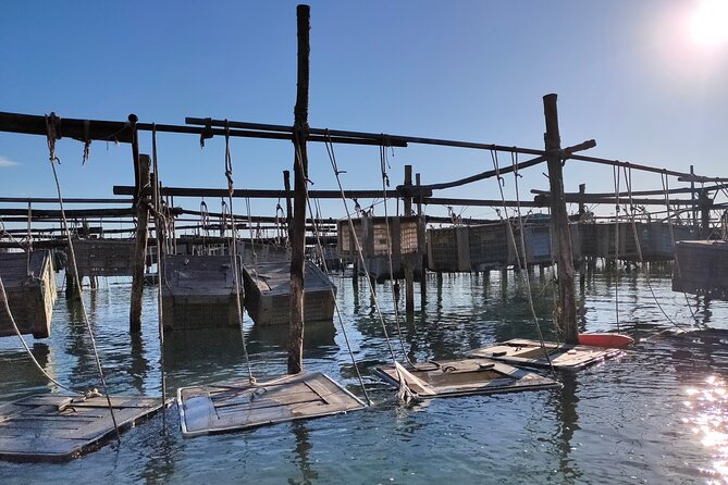 Chioggia : Aquaculture Secrets Tours of the Lagoon - The Transportation and Overall Experience