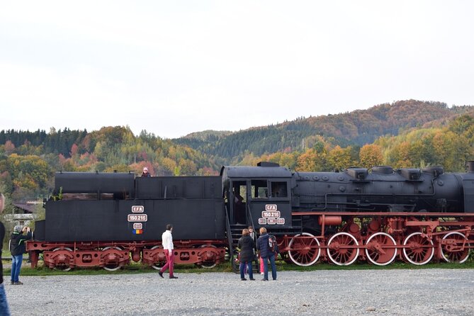CJ03 - Day trip to Maramures Mocanita Train from Cluj Napoca - What Travelers Are Saying