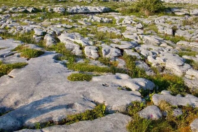 Cliffs of Moher, Burren and Galway 2 Days Private Chauffeur Tour - Final Thoughts on Who This Tour Is Best For