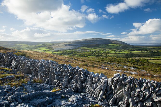 Cliffs of Moher Private Day Tour from Galway - Authentic Insights from Reviewers