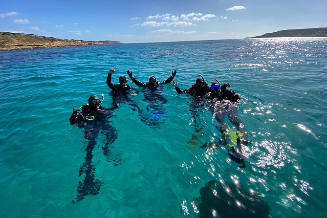 Comino Guided Snorkeling Experience - Who Should Book This Tour?