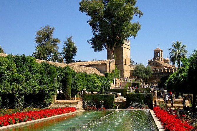 Cordoba Guided Tour with Mosque /Cathedral from Seville - Final Thoughts