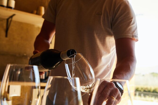 Crete Wine & Olive Oil Tour - What’s Included & What to Consider