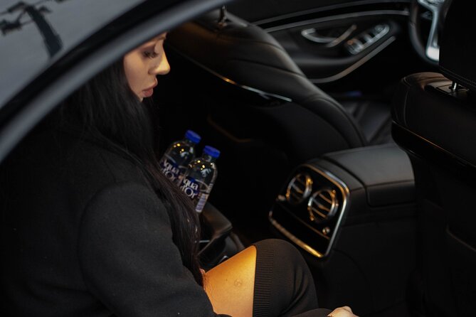 Cruise port VIP Transfer: Cruise port to Stockholm city center 1-6 Passangers - Punctuality and professionalism