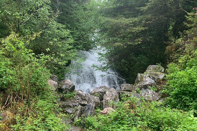 Custom Tour In Ketchikan - What’s Included and What to Expect