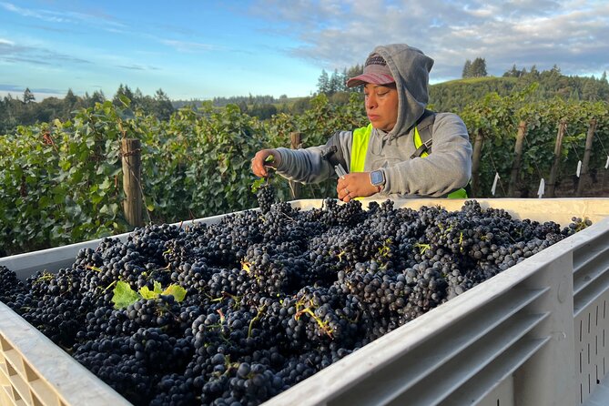 Custom Willamette Wine Tours from The Allison Inn and Spa - Final Thoughts